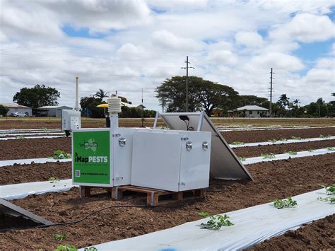 iMapPESTS monitoring priority insect pests in Ayr | AUSVEG