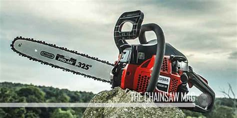 6 Best Chainsaw Chains - (Reviews & Buying Guide 2021)