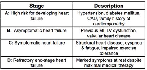 Heart Failure Drugs Flashcards Quizlet