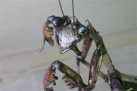 Scrap Metal Praying Mantis Stainless Steel Sculpture