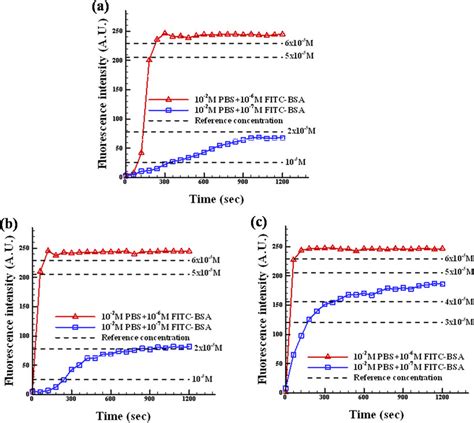 Evolution Of Fitc Labeled Bsa Sample Fluorescence Intensity A Straight Download Scientific