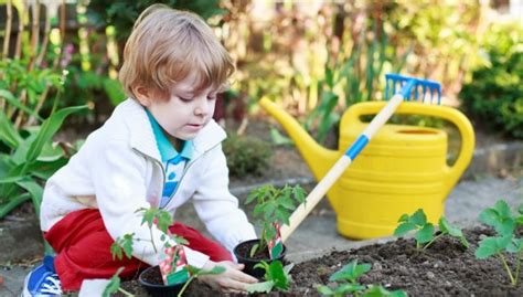 Garten F R Kinder Gestaltung Und Tipps F Rs Bepflanzen Familienleben