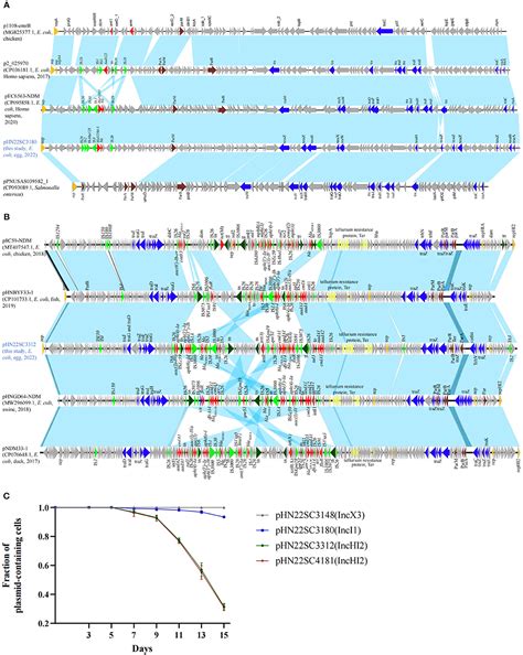 Frontiers Occurrence And Characterization Of NDM 5 Producing