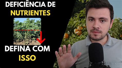 Deficiência de nutrientes nas plantas Aprenda a definir qual pode ser