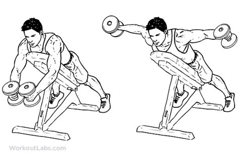 Reverse Flyes | Illustrated Exercise guide - WorkoutLabs