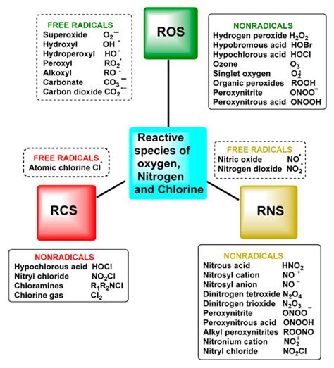 Superoxide Radical Anion O2 Encyclopedia MDPI