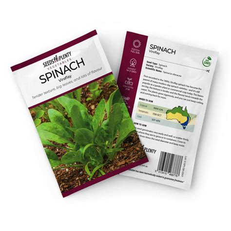 Spinach Seeds Buy Online At Seeds Of Plenty