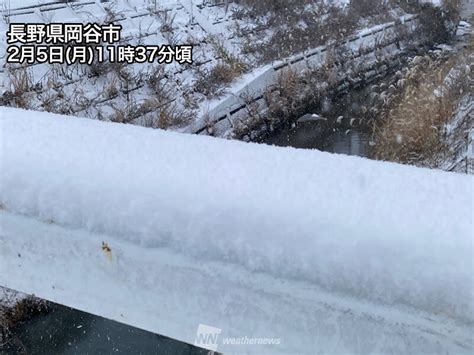 関東西部で雪が降り出す 長野県ではすでに積雪｜infoseekニュース