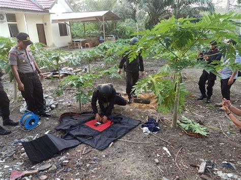 Tim Jibom Satuan Brimob Polda Jambi Musnahkan Granat Sisa Perang Dunia