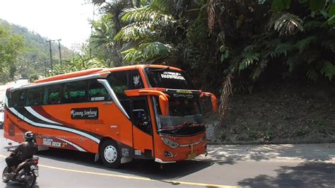 Sensasi Viral BUS BASURI TELOLET 2 Dalam JETBUS3 Rahasia Kesuksesan