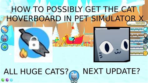 HOW TO GET THE CAT HOVERBOARD In Pet Simulator X Theory YouTube