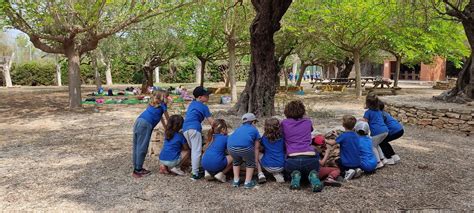 Sortida Dinfantil A Tatakua Escola Horta Vella