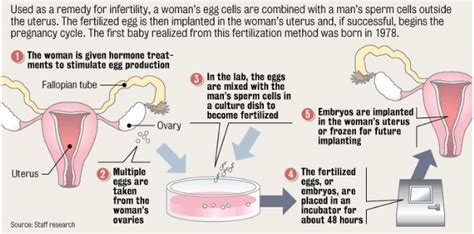 Ivf Treatments Hope International