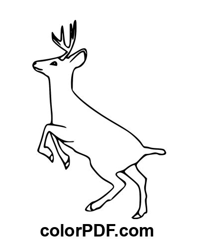 Simple Mule Deer Coloring Pages And Books In Pdf