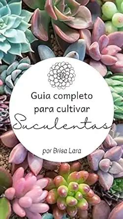 Guia completo para cultivar Suculentas Um guia tudo que você