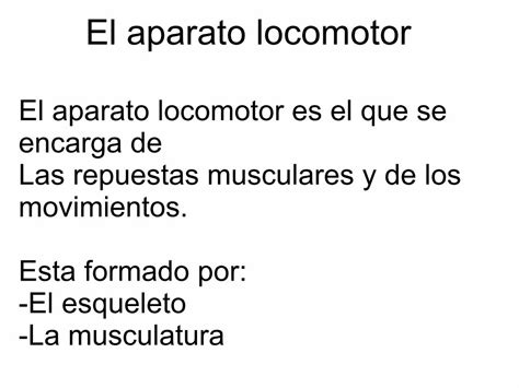 PDF El Aparato Locomotor Miriam DOKUMEN TIPS