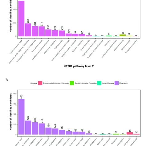 Kegg Pathway Classification Metabolites Detected And Annotated A