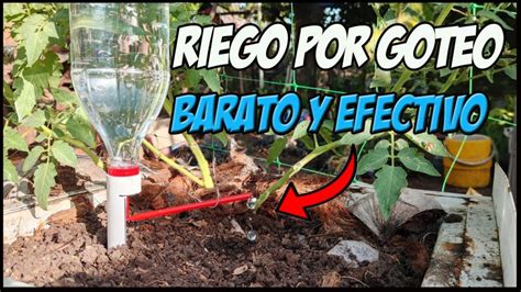 C Mo Hacer Un Proyecto De Riego Por Goteo Aprende A Hacer Un