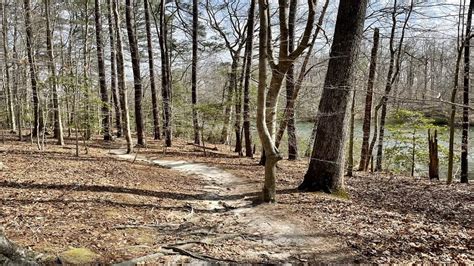 Waller Mill Park A Relaxing Lake Hike In Williamsburg