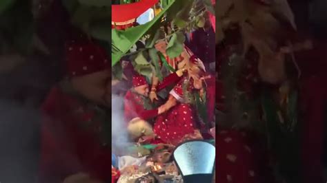 Viral Video Fierce Fight Breaks Between Bride And Groom On Wedding Mandap Guests Stunned Shorts