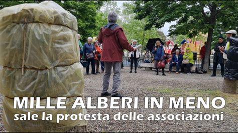 Mille Alberi In Meno A Genova Associazioni Contro Il Comune Pronti A