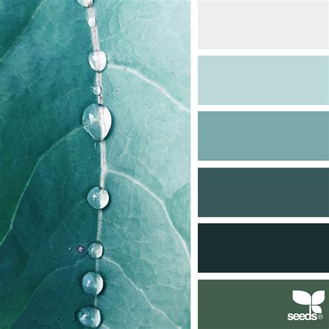 Pin by Nikki S. on Cali Inspo | Nature color palette, Seeds color, Color palette design