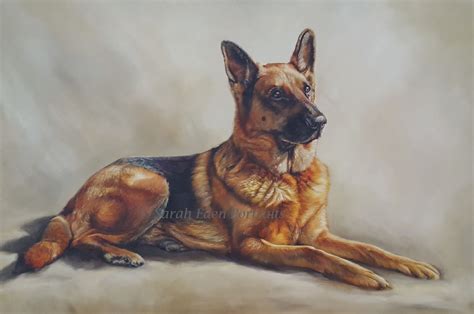 German Shepherd Oil Portrait By Sarah Eden Portraits Gsd