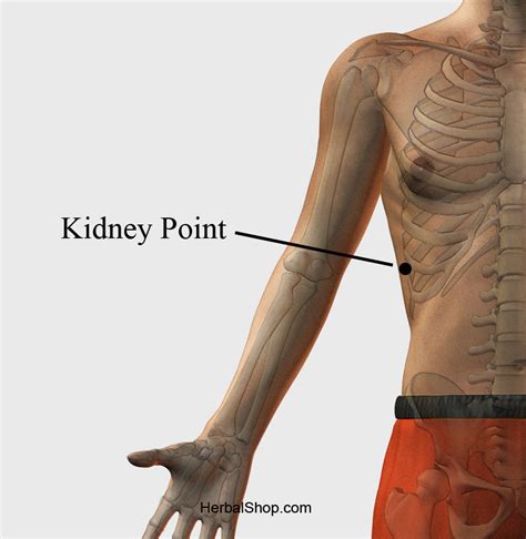 Acupressure Point Kidney Point Herbalshop