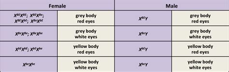 Beyond Mendel — The Biology Primer