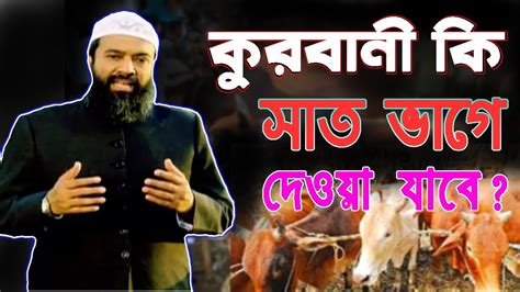 সাত ভাগে কুরবানী করা যাবে কি Youtube