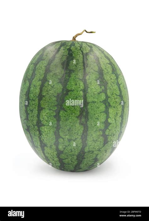 Fresh organic whole watermelon on white isolated background with ...