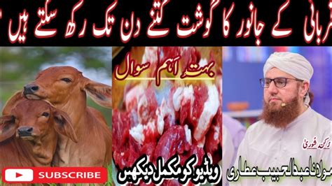 New Bayan Bakra Eid Mein Qurbani Ka Gosht Kitne Din Tak Kha Sakte Hain