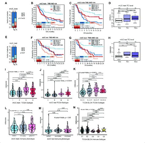 The Interations Of Clinical Features In MUC And Hypoxia Risk Score