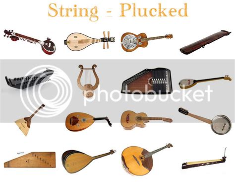 Instruments - String Plucked II Quiz - By kfastic