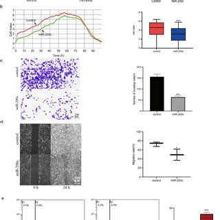 The Effects Of Overexpression Mir C On The Proliferation Invasion