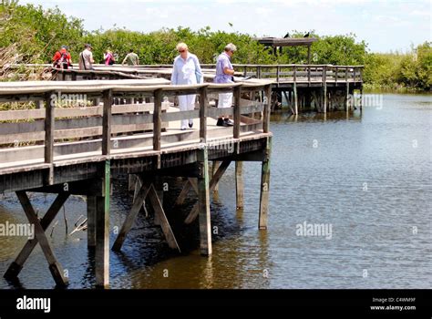 Anhinga Trail, Everglades, Florida Stock Photo - Alamy