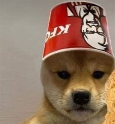 Kfc Dog