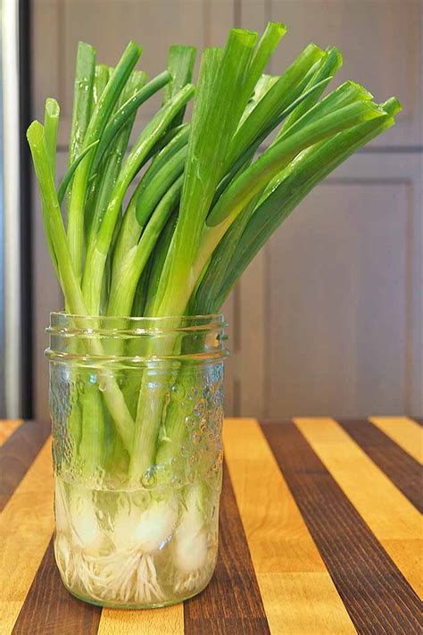 How To Select Store Prep And Chop Scallions Foodal