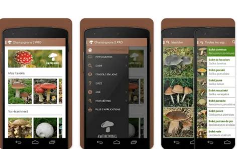 Applications Pour Reconna Tre Les Champignons Facilement