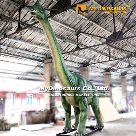 AD-080 Jurassic Dinosaur Park Large Dinosaur of Brachiosaurus | My Dinosaurs