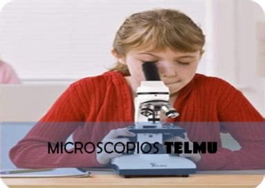 Los Mejores Microscopios Para Electr Nica