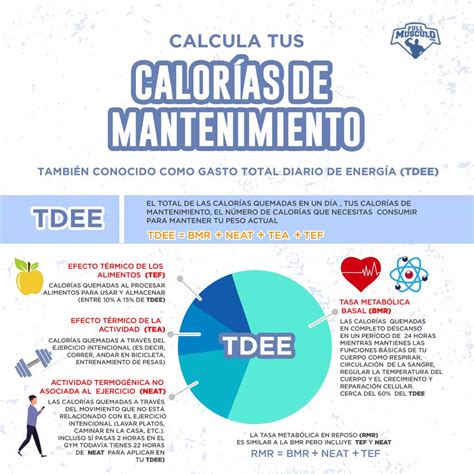 Superávit Calórico Para Aumentar Masa Muscular • Fullmusculo