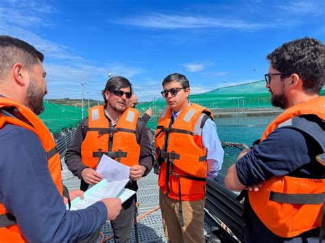 Dirección del Trabajo fiscalizará a 24 centros de cultivo de salmones