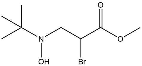 Propanoic Acid Bromo Dimethylethyl Hydroxyamino Methyl