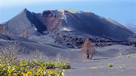 Visitamos El Volc N De La Palma Un A O Despu S De La Erupci N As Son