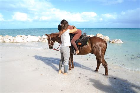 tutorial - Unique tours and rentals