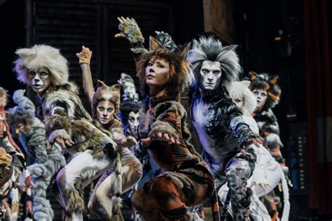 Teatro Al Sistina Successo Per Il Famoso Musical Cats Ambientato