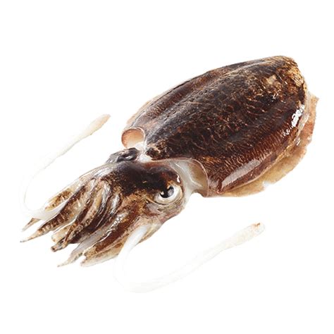 seiche poissonnerie schaller metz