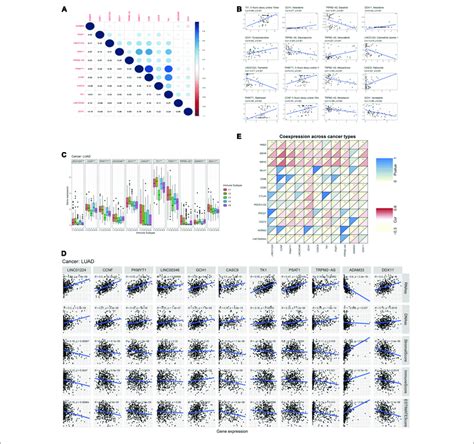 Pan Cancer Analysis Of The Four LncRNAs And Their Seven Target MRNAs