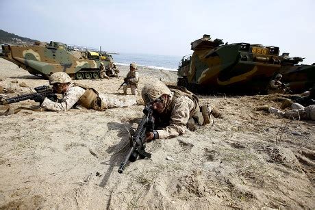 Us South Korean Marines Participate Annual Editorial Stock Photo ...